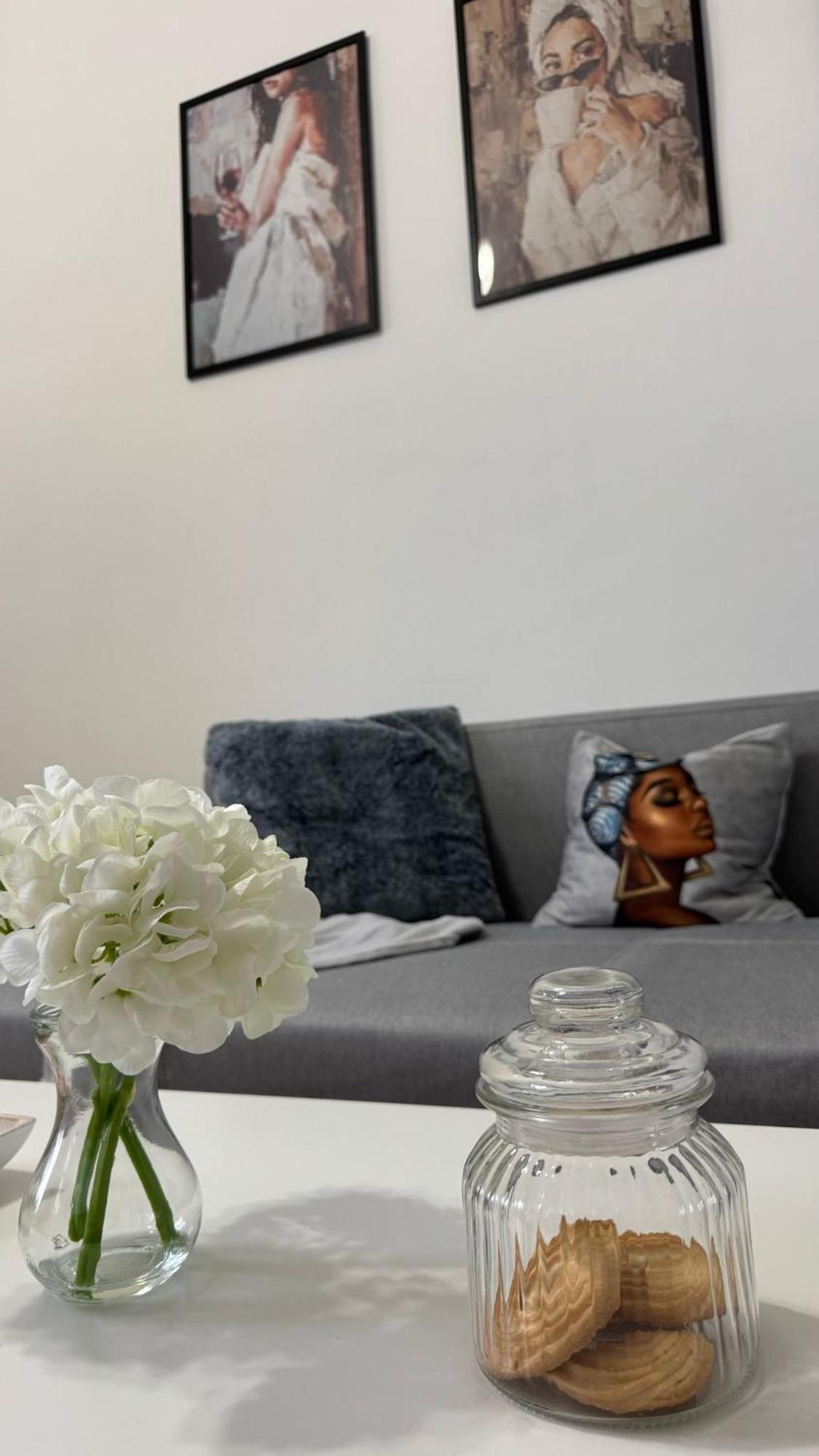 Chic & Cozy In Apartament