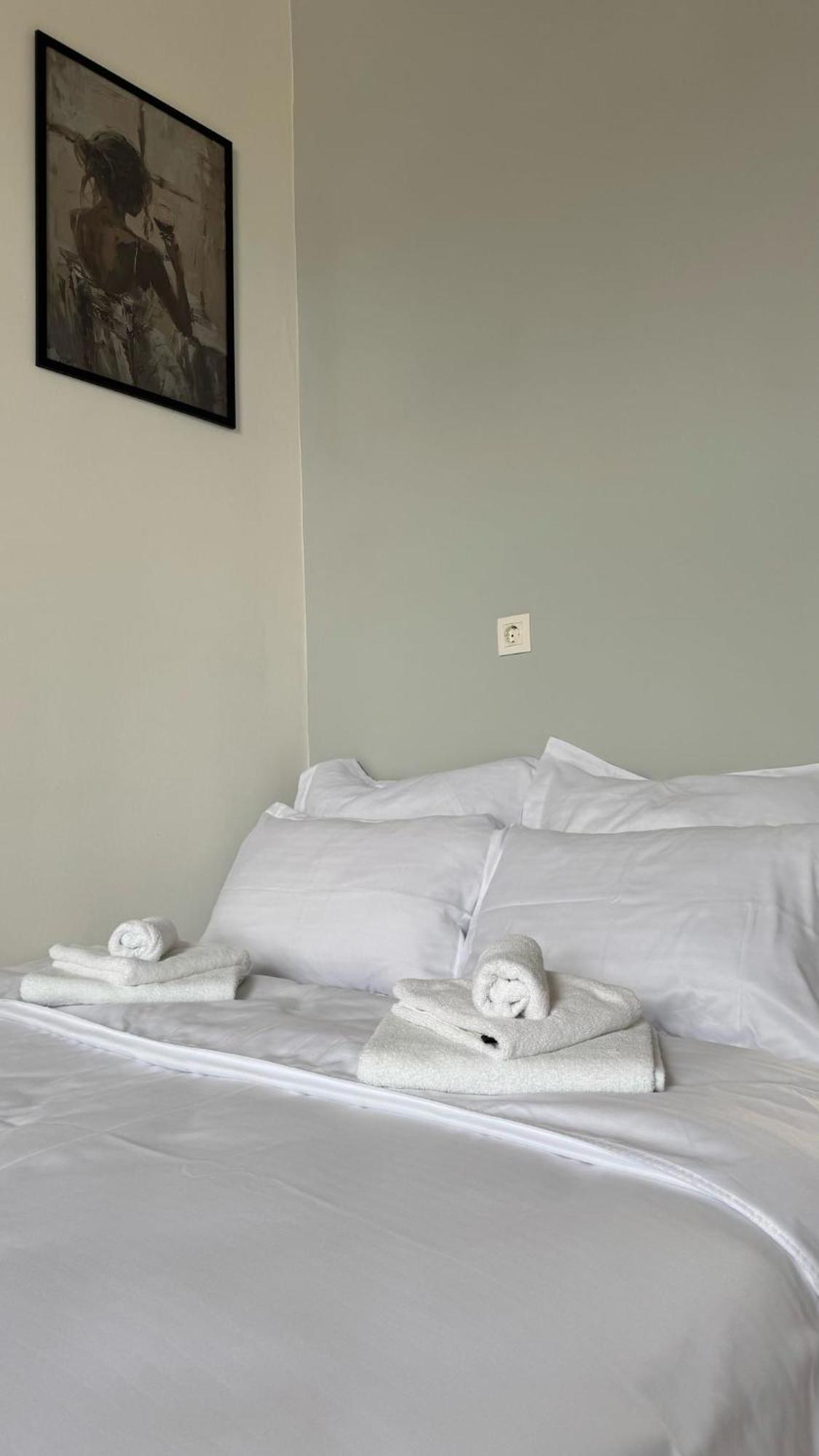 Chic & Cozy In Apartament Timişoara