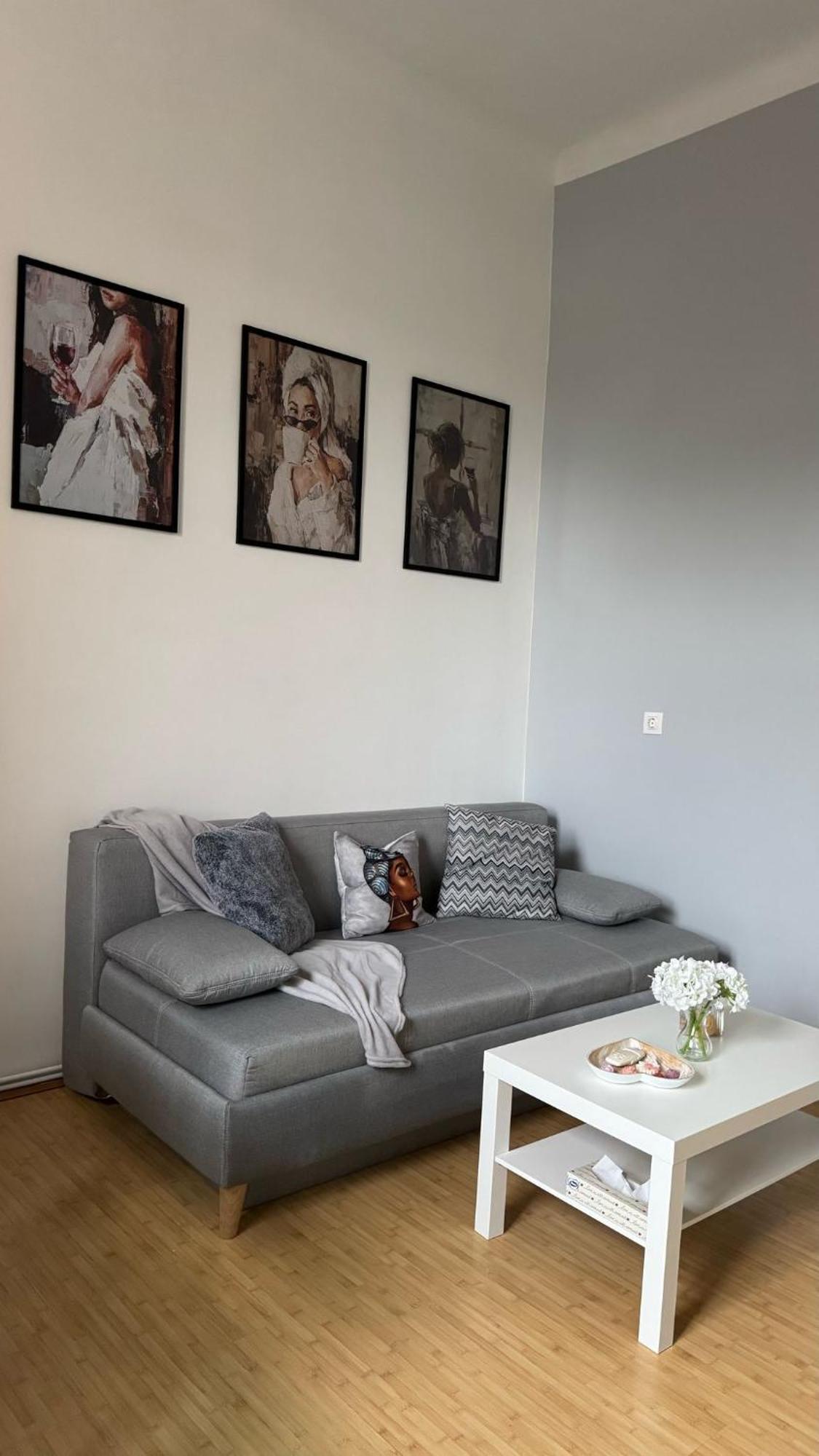 Chic & Cozy In Apartament Timişoara